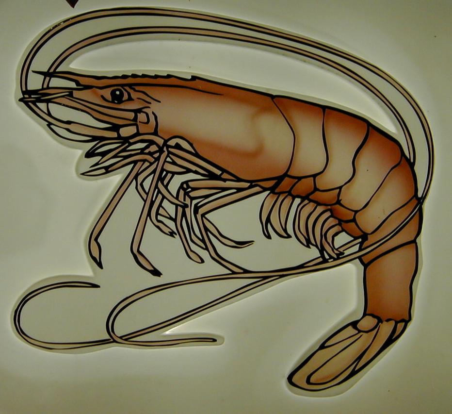 shrimp boat clip art free - photo #37